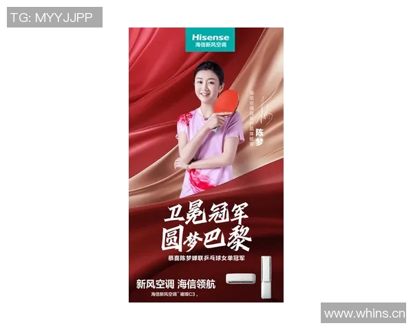 飞盘运动的崛起与陈娜的成功秘诀深度探讨