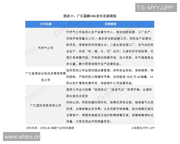 专业解析LNG市场动态与策略运用的深度剖析 专业解析LNG市场动态与策略运用的深度剖析